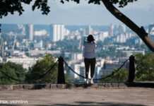 У парку Шевченко в Києві впало дерево: є загибла та постраждалі