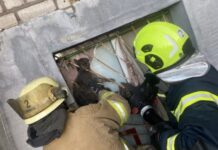 За добу надзвичайники Запоріжжя врятували двох котів