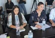 Чи зацікавлені активісти у Кам’янському в розумінні реальних проблем в енергетиці, та чим їхня діяльність допомагає Росії досягати своєї мети?