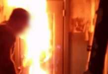 Затримано і взято під варту серійних паліїв на Запоріжжі