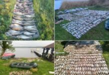 Завдали державі понад 7 млн грн збитків: на Дніпропетровщині викрили браконьєрів під час дії нерестової заборони