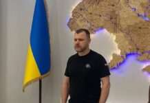 Вбивство Ірини Фаріон. Слідчі не виключають “російський слід”, є основні версії