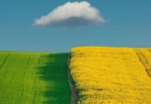 Кому з українців не потрібно платити земельний податок у 2024 році: перелік