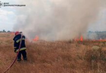 Дніпропетровщина продовжує потерпати від пожеж в екосистемах: 74 загоряння за добу