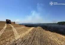 Підвищена пожежна небезпека через спеку: вогнеборці долають численні пожежі в екосистемах Дніпропетровщини