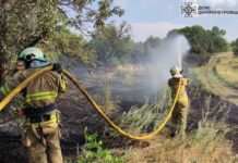 На Дніпропетровщині не вщухають пожежі в екосистемах: за добу рятувальники загасили 41 займання