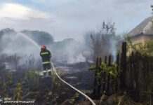 Рятувальники Дніпропетровщини ліквідували 52 пожежі в екосистемах протягом доби