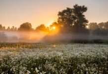 Надзвичайна спека. Синоптики дали прогноз на сьогодні