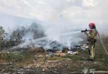 На Дніпропетровщині протягом доби ліквідовано 62 пожежі в екосистемах