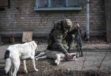 Акцент зміщується. Яка ситуація у Часовому Яру після виходу з району “Канал”: відповідь Волошина