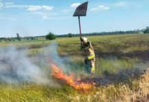 Вогнеборці Дніпропетровщини ліквідували 60 пожеж в екосистемах