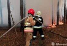 67 пожеж у екосистемах протягом доби: надзвичайники Дніпропетровщини продовжують боротьбу із загоряннями