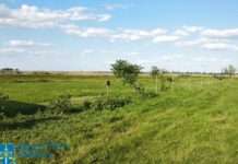 На Дніпропетровщині прокуратура повернула тергромаді землі вартістю понад 230 млн грн