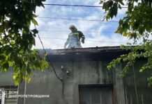 У Камʼянському під часа ліквідації пожежі вогнеборці врятували жінку