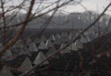 Генштаб повідомляє про 136 бойових зіткнень за минулу добу, про наступ на Сумщині не йдеться