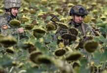 Генштаб: на фронті минулої доби було 144 зіткнення