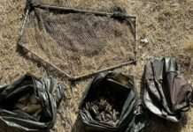 У Дніпровському районі на р.Мокра Сура браконьєри наловили раків більше ніж на півмільйона гривень