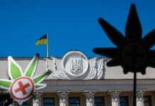 МОЗ прокоментувало закон про медканабіс – він набуває чинності сьогодні