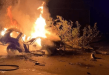 У Новомосковську після зіткнення з деревом спалахнула Toyota: подробиці