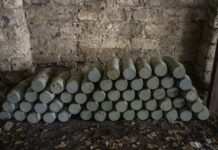 ПАР блокувала передачу снарядів Польщі, боялась, що вони потраплять в Україну, – ЗМІ