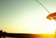 Перед цими “делікатесами” не встоїть жодна риба: 5 найкращих наживок для багатого улову