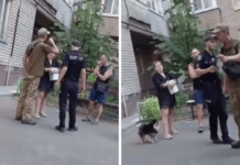 Лайка між військовослужбовцем та жителями Дніпра: коментар Дніпропетровського обласного ТЦК та СП