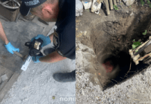 Вдарила батька молотком по голові та кинула тіло у колодязь: у Новомосковському районі затримала 44-річну зловмисницю