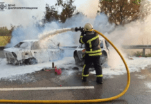 Вогнеборці Синельниківщини ліквідували займання автомобілів, які стали учасниками смертельної ДТП