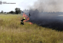 На Дніпропетровщині протягом доби ліквідовано 97 пожеж в екосистемах