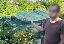 У Запорізькому районі затримали чоловіка, який вирощував коноплі у дачному будинку