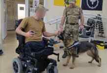 Поліцейські кінологи Дніпра долучилися до психологічної реабілітації поранених військовослужбовців