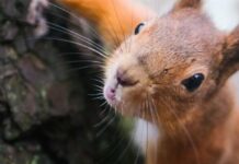 Погода на осінь 2024 року: чи очікувати різкого похолодання у вересні та коли буде бабине літо