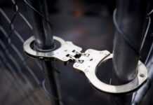 В Естонії ексжурналістку «Росії сьогодні» звинуватили у держзраді – ЗМІ