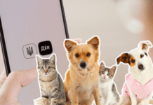 В Україні з’являться електронні ветпаспорти для домашніх тварин