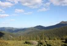 Румунські прикордонники виявили тіло чоловіка в Тисі – ДПСУ