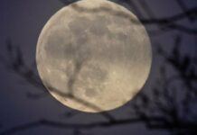Особливий повний місяць: що принесе перший супермісяць року