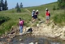 Перший похід у Карпати. 5 вершин, які під силу підкорити навіть початківцям