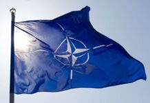 У НАТО зробили заяву у річницю окупації Росією грузинських регіонів