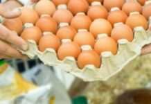 Такі яйця не можна купувати в жодному разі: експерти назвали ознаки, які мають насторожити