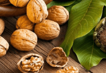 Можуть викликати серйозні проблеми зі здоров’ям: кому категорично не можна вживати волоські горіхи