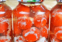Мариновані помідори “під снігом”: незвичайний рецепт для консервації
