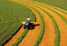 Скільки коштує земельний пай у селі: ціни на 2024 рік