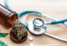 Медичний канабіс в Україні легалізовано: що змінює введений в дію закон і для кого