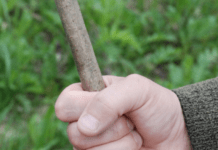 У Кривому Розі поліцейські встановили 45-річного чоловіка, який побив сусіда та втік з місця злочину