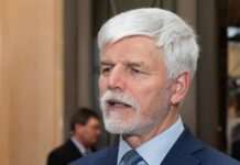 Президент Чехії заперечив причетність України до підриву “Північних потоків”