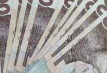 Пошук роботи в Україні: на ринку праці різко зросла кількість вакансій у певних сферах