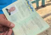 У Кривому Розі містянин підробив водійський квиток: розпочато розслідування