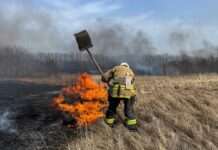 У Києві на вихідні оголосили надзвичайний рівень пожежної небезпеки