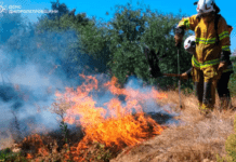 70 загорянь за добу: рятувальники Дніпропетровщини продовжують боротися з пожежами в екосистемах