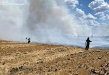 56 пожеж в екосистемах за добу: рятувальники Дніпропетровщини продовжують приборкувати загоряння